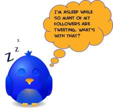 Sleeping-twitter-bird